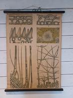 Oude schoolplaat - Plantencellen, Antiek en Kunst, Antiek | Schoolplaten, Ophalen of Verzenden, Natuur en Biologie