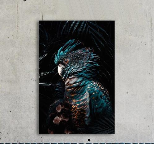 plexiglas schilderij, wanddecoratie zwarte kaketoe, Huis en Inrichting, Woonaccessoires | Schilderijen, Tekeningen en Foto's, Nieuw