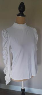 Studio Anneloes top M, Kleding | Dames, Tops, Ophalen of Verzenden, Zo goed als nieuw, Maat 38/40 (M), Lange mouw