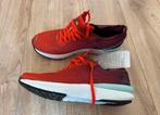Salomon Sonic 3 Accelerate, maat 44, nieuw, Ophalen of Verzenden, Nieuw, Overige typen, Overige merken