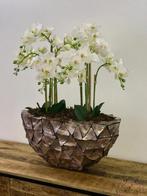 Schelpvaas bronze nieuw vaas schelpen eric kuster, Overige kleuren, Aardewerk of Porselein, Nieuw, Ophalen of Verzenden