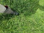 Gras, Dieren en Toebehoren, Stalling en Weidegang