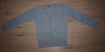 Grijs Vest (L) beschikbaar voor biedingen