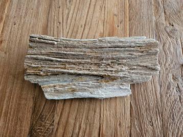 Uniek stuk versteend hout beschikbaar voor biedingen