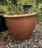 Robuuste Bruine Bloempot - H36 D50, Ophalen, Minder dan 60 cm, Rond, Zo goed als nieuw