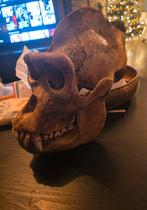 Opgezette zilverrug gorilla taxidermie opgezette dieren, Ophalen of Verzenden, Vogel, Opgezet dier