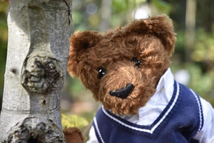 Teddybeer Blauwbeerd, Verzamelen, Beren en Cherished Teddies, Zo goed als nieuw, Stoffen beer, Overige merken, Ophalen of Verzenden