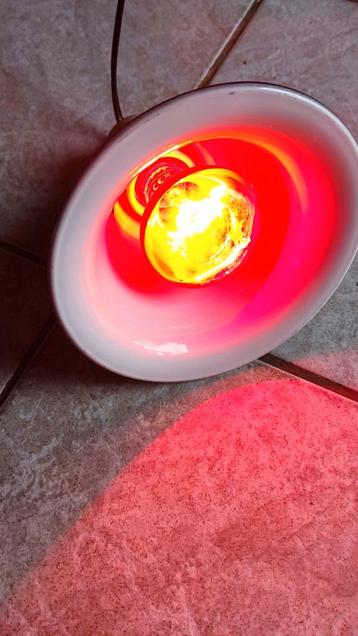 Warmtelamp  beschikbaar voor biedingen