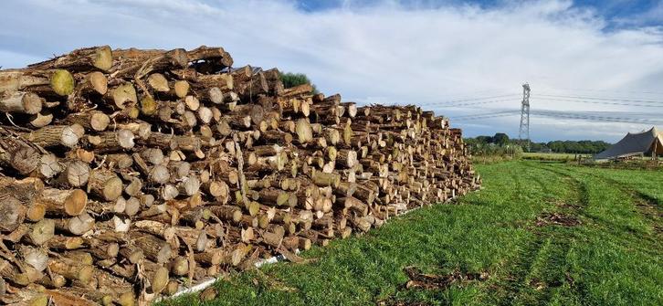 HAARDHOUT, Tuin en Terras, Haardhout, Blokken, Overige houtsoorten, 6 m³ of meer, Ophalen