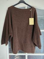 Nieuwe trui donkerbruin 42 44, Ophalen of Verzenden, Nieuw, Maat 42/44 (L), Bruin