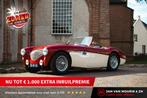 Austin Austin-healey 100M | Is not a factory-built 100M (inc, 2621 cc, Gebruikt, Huisgarantie, Bedrijf