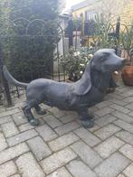 Grote bronzen hond Basset / Teckel?, Gebruikt, Ophalen of Verzenden, Metaal, Dierenbeeld