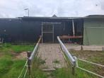 Containerstal, Dieren en Toebehoren, Stalling, 2 of 3 paarden of pony's
