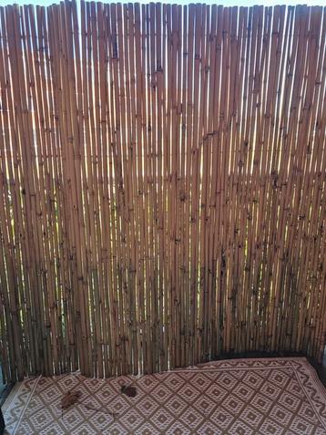 Schutting bamboe 180 x180 cm  beschikbaar voor biedingen
