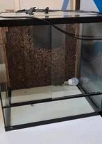 Terrarium inclusief warmte steen nooit gebruikt, Dieren en Toebehoren, Reptielen en Amfibieën | Toebehoren, Ophalen, Zo goed als nieuw