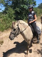 Gezocht lief verzorgpaard omgeving Heelsum, Dieren en Toebehoren, Stalling en Weidegang