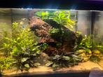 Juwel Aquarium Primo 70 liter compleet met meubel, Ophalen, Zo goed als nieuw, Leeg aquarium