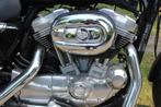 Harley-Davidson Sportster 883 Superlow, Chopper, Bedrijf, 883 cc, Meer dan 35 kW