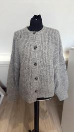 Stella Nova alpaca vest wol 36/38 grijs, Kleding | Dames, Ophalen of Verzenden, Zo goed als nieuw, Maat 36 (S), Grijs