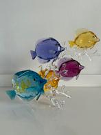 Swarovski regenboogvissen, Ophalen of Verzenden, Zo goed als nieuw, Figuurtje