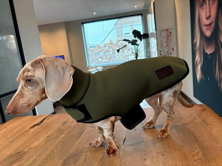 Winterjas/regenjas Hashteckel - maat S, Dieren en Toebehoren, Hondenkleding, Zo goed als nieuw, Hondenjas, Ophalen of Verzenden