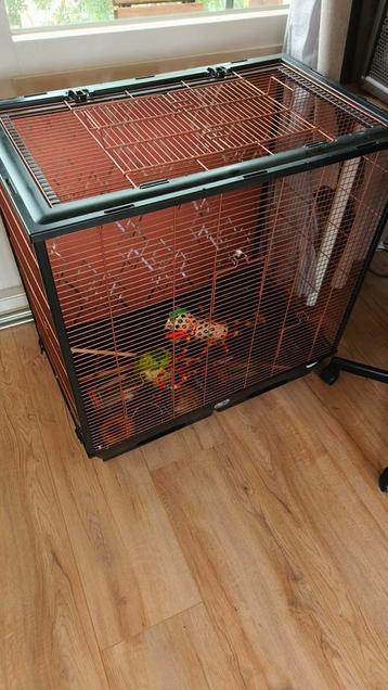 Vogelkooi met toebehoren beschikbaar voor biedingen