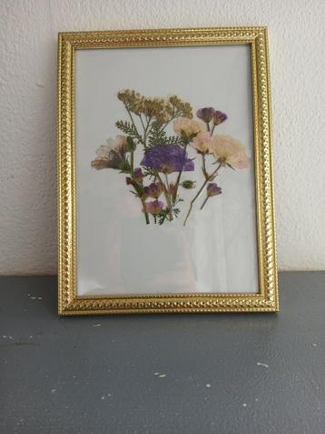 droogbloemen stilleven beschikbaar voor biedingen