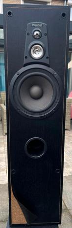 Twee luidsprekers van Magnat, Audio, Tv en Foto, Ophalen, Gebruikt, Magnat, 120 watt of meer