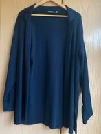 Amici blauw vest - Maat L, Kleding | Dames, Blauw, Maat 42/44 (L), Ophalen of Verzenden, Zo goed als nieuw