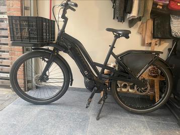 Professionele Electrische GIANT fietsen 500WH, riemaandr beschikbaar voor biedingen