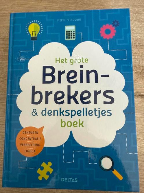 Het grote breinbrekers-en denkspelletjesboek, Boeken, Hobby en Vrije tijd, Zo goed als nieuw, Ophalen of Verzenden