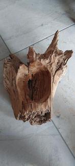 Aquarium hout., Dieren en Toebehoren, Vissen | Aquaria en Toebehoren, Ophalen of Verzenden, Plant(en), Steen of Hout