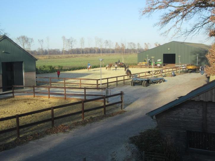 Pensionstalling Schoonebeek, Dieren en Toebehoren, Stalling en Weidegang, Stalling, 4 paarden of pony's of meer
