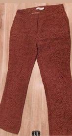 Pantalon, maat M, Costes, Kleding | Dames, Broeken en Pantalons, Ophalen of Verzenden, Zo goed als nieuw, Maat 38/40 (M)