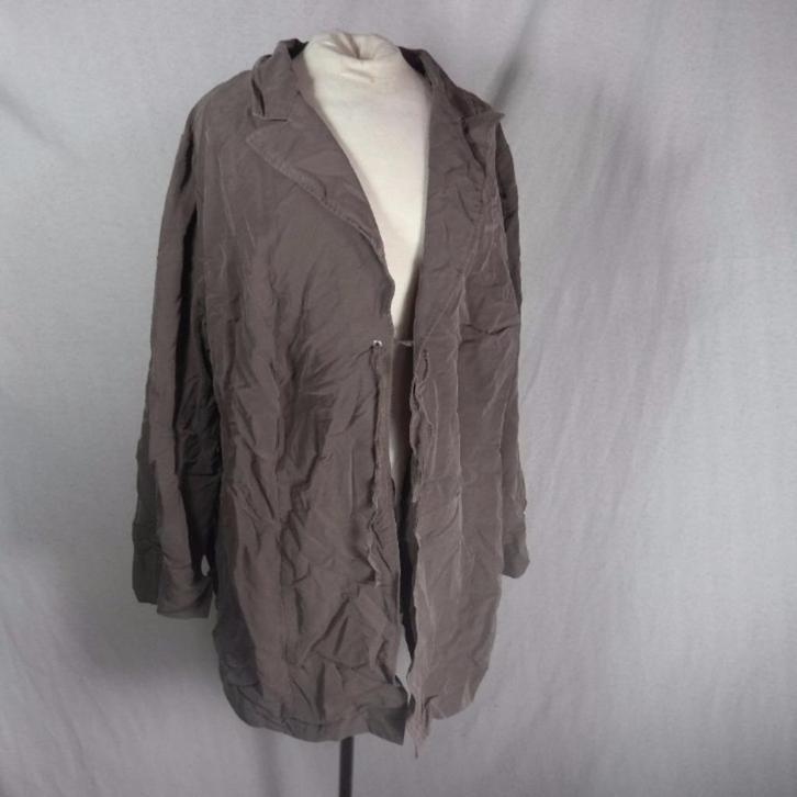Mooie grijsbruinige lange damesblouse.Mt 54.Merk Miss Etam, Kleding | Dames, Grote Maten, Zo goed als nieuw, Blouse of Tuniek