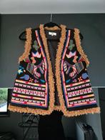 Mooi gilet van Mochy, Kleding | Dames, Ophalen of Verzenden, Zo goed als nieuw