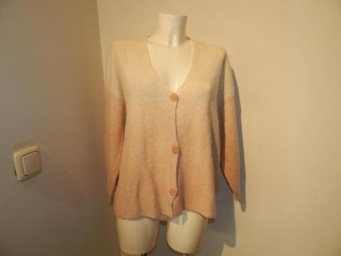 Marccain vest heerlijk zacht gebreid kleur verloop N5/42, Kleding | Dames, Truien en Vesten, Gedragen, Maat 42/44 (L), Overige kleuren