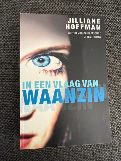 Jilliane Hoffman - In een vlaag van waanzin, Boeken, Thrillers, Zo goed als nieuw, Nederland, Ophalen of Verzenden