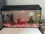 Aquarium, Dieren en Toebehoren, Vissen | Aquaria en Toebehoren, Ophalen, Gebruikt, Verlichting of Verwarming