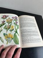 Hegi merxmuller Alpenflora boek, Zomer, Ophalen of Verzenden