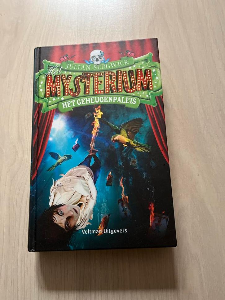 Julian Sedgwick - Het geheugenpaleis, Boeken, Kinderboeken | Jeugd | 10 tot 12 jaar, Zo goed als nieuw, Ophalen of Verzenden