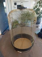 Ronde vogelkooi, goudkleur met donkere bak, Ophalen, Gebruikt, Metaal, Vogelkooi