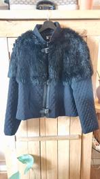 Edgar Vos Couture jasje, Zwart, Maat 46/48 (XL) of groter, Zo goed als nieuw, Jasje