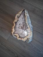Versteend hout, Ophalen