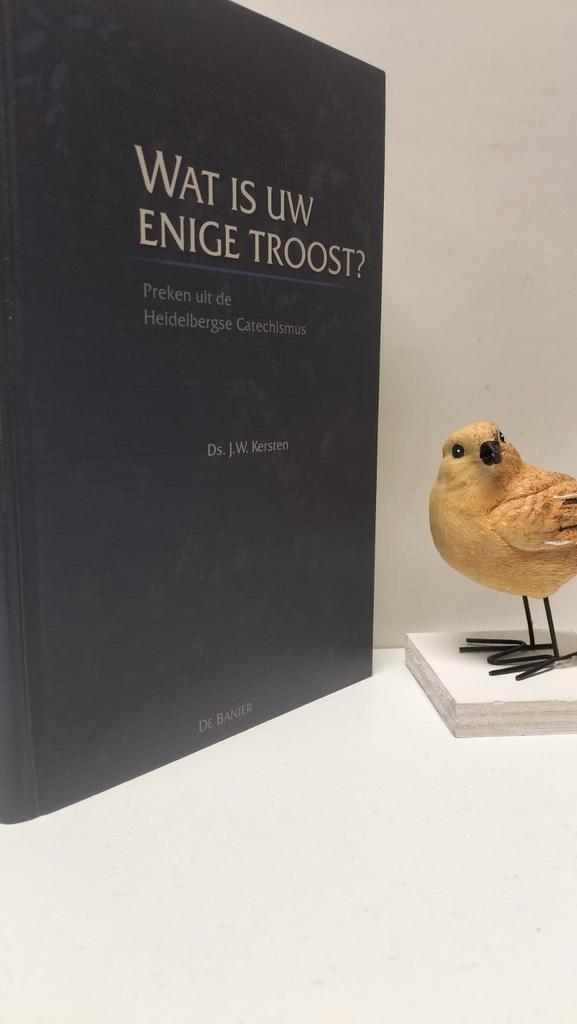 Kersten, Ds. J.W. ; Wat is uw enige troost?, Boeken, Godsdienst en Theologie, Gelezen, Christendom | Protestants, Ophalen of Verzenden