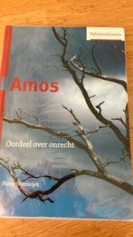 Pieter Niemeijer - Amos, Boeken, Godsdienst en Theologie, Ophalen of Verzenden, Pieter Niemeijer, Zo goed als nieuw