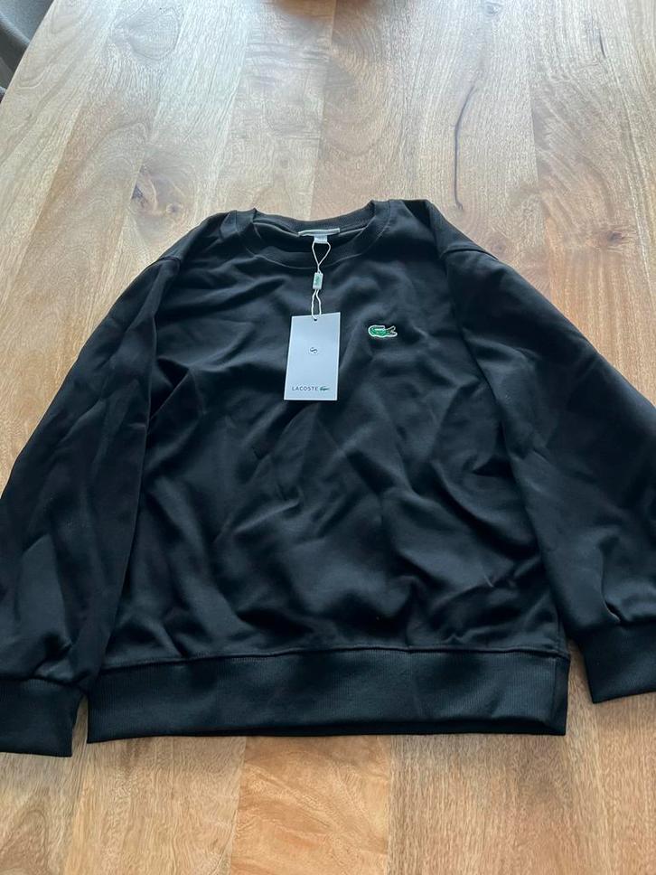 Lacoste Trui - Maat S - Nieuw!, Kleding | Heren, Truien en Vesten, Nieuw, Maat 46 (S) of kleiner, Zwart, Verzenden