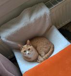 Katten hangmand voor kachel (2x), Ophalen, Zo goed als nieuw