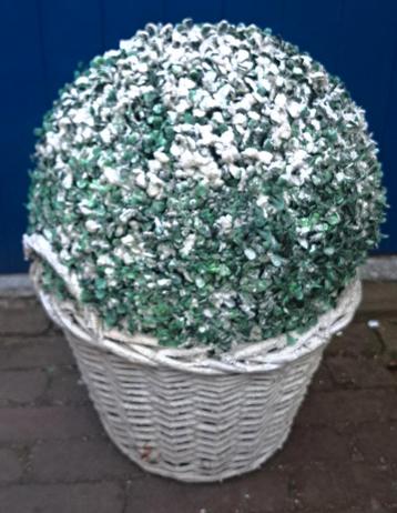 Rietenmand met Buxusbol en Sneeuw beschikbaar voor biedingen
