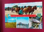 Ansichtkaart Ameland, Verzamelen, Ansichtkaarten | Nederland, Ophalen of Verzenden, Waddeneilanden